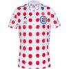 maillot de cyclisme Le coq sportif TDF 2020 Blanc