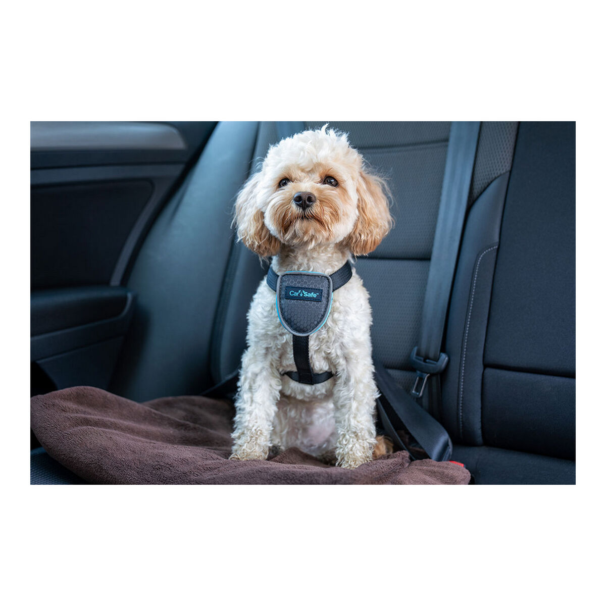 Arnés para Perro Company of Animals CarSafe Negro XS S6103613_5