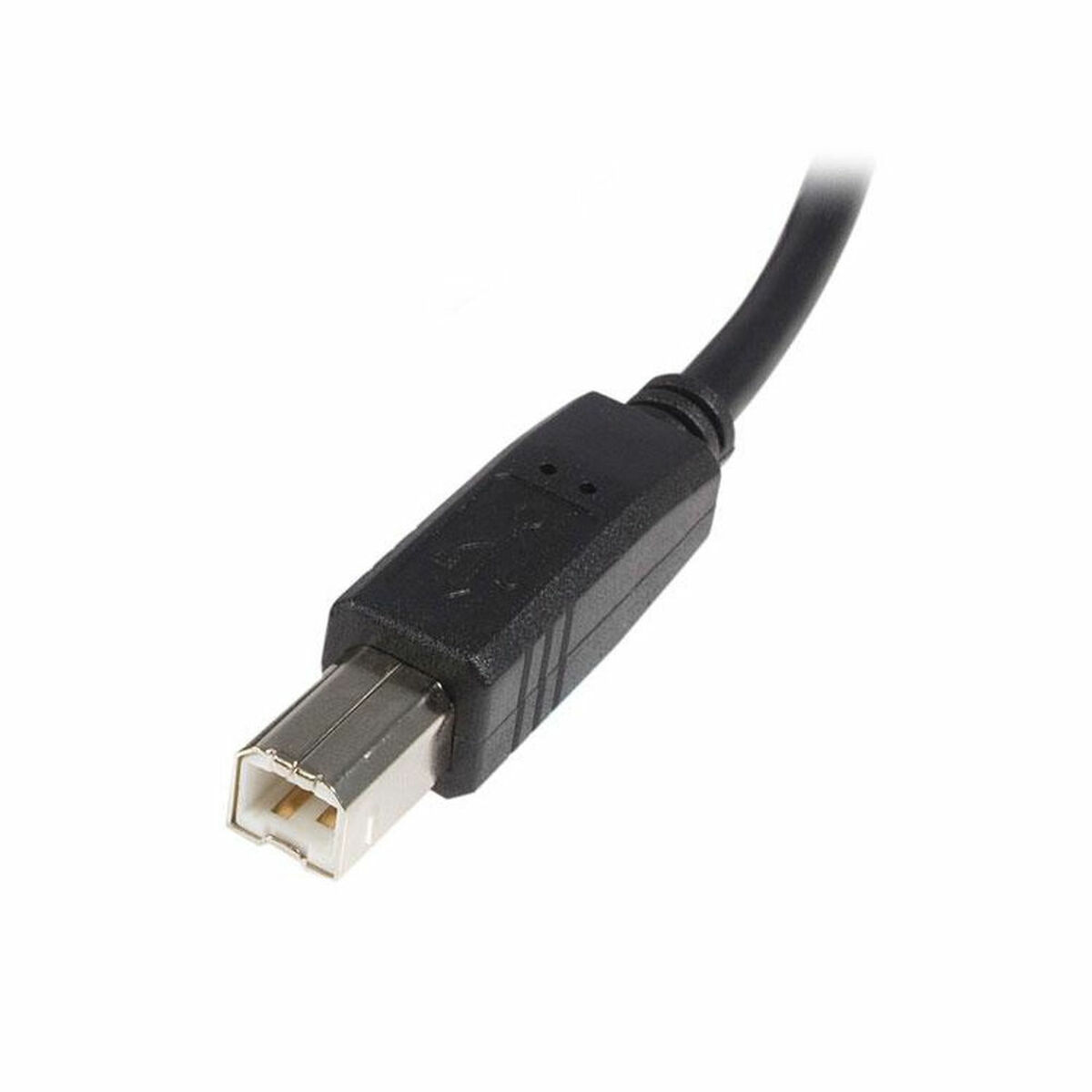Cable USB A a USB B Startech USB2HAB5M Negro S55056825_1