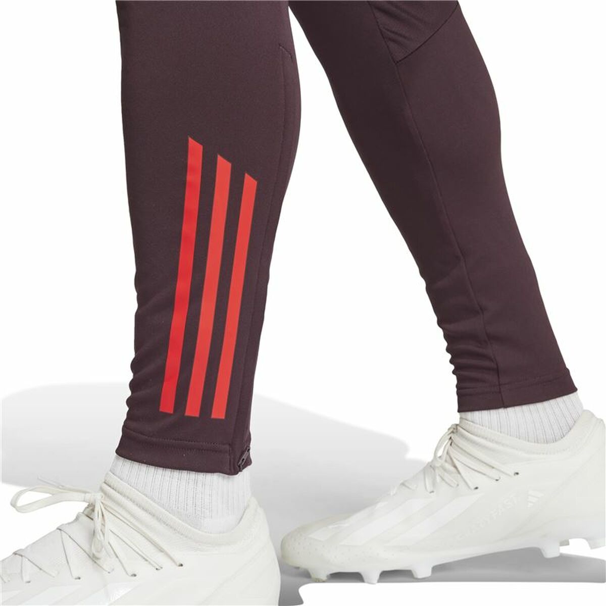 Pantalón Largo Deportivo Adidas Fc Bayern 24/25 Tiro24 Marrón Granate Hombre S64177287_6