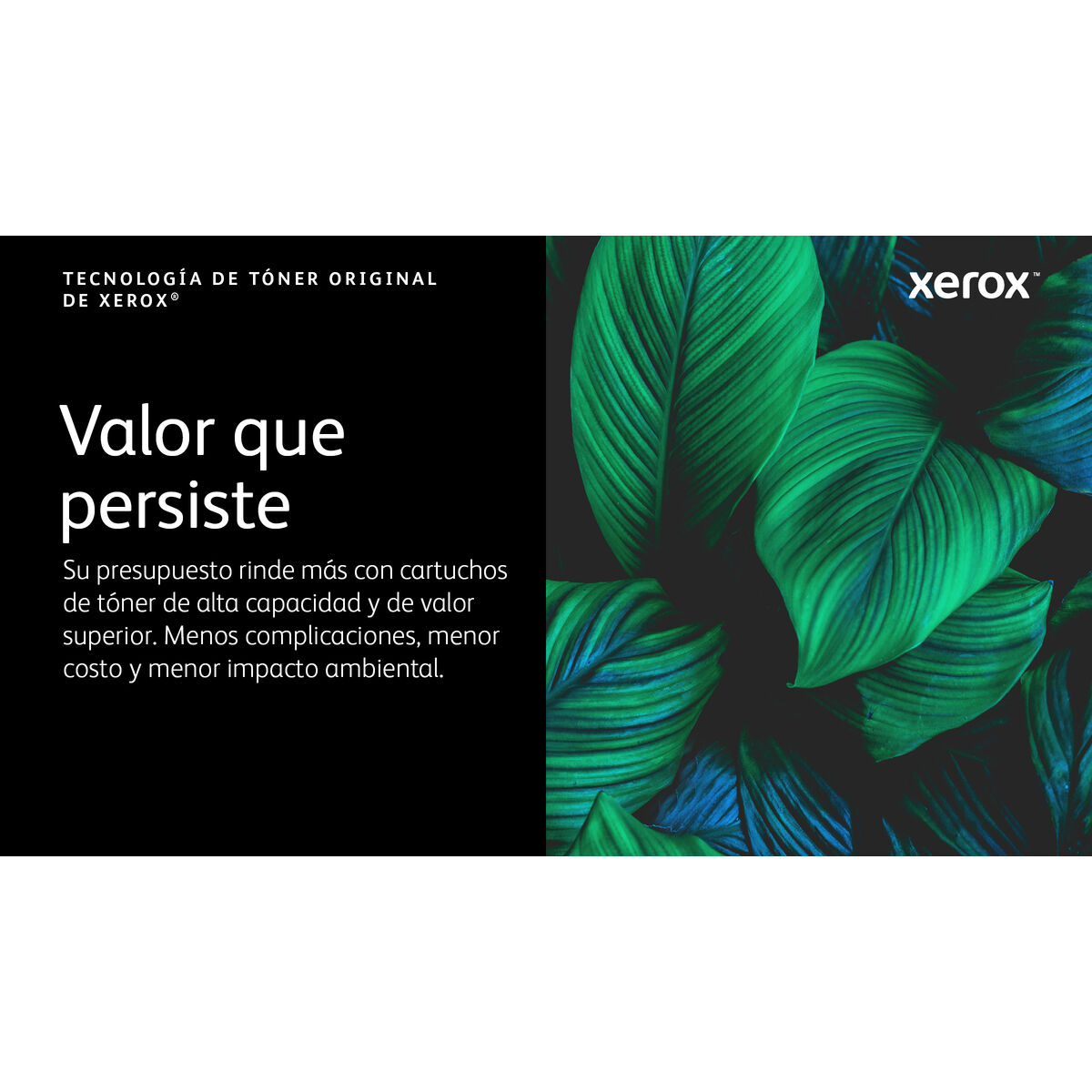 Tóner Xerox 006R04365 Cian (Reacondicionado A) V0710092_3
